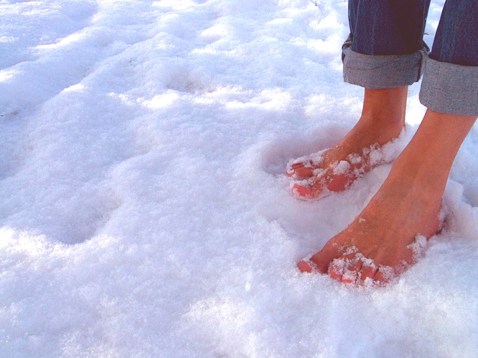 Ноги снежок. Босые ноги на снегу. Хождение босиком закаливание. Ноги в снегу. Женские ноги в сугробе.