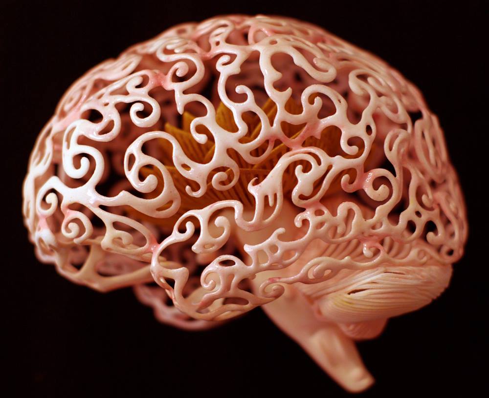 Мозг скульптура